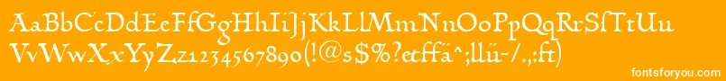 LinotypehumanistikaDfr Font – White Fonts on Orange Background