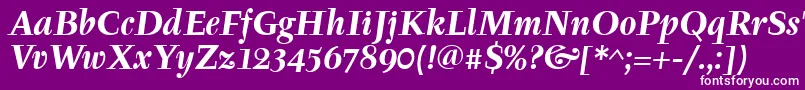 TyfaitcTtРџРѕР»СѓР¶РёСЂРЅС‹Р№РљСѓСЂСЃРёРІ Font – White Fonts on Purple Background