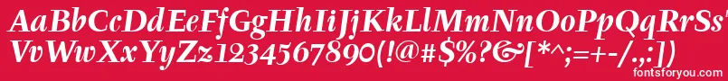 TyfaitcTtРџРѕР»СѓР¶РёСЂРЅС‹Р№РљСѓСЂСЃРёРІ Font – White Fonts on Red Background