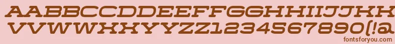 MenschoItalic Font – Brown Fonts on Pink Background