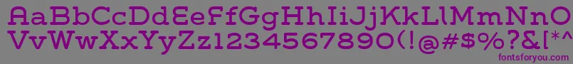 フォントGroverSlab – 紫色のフォント、灰色の背景