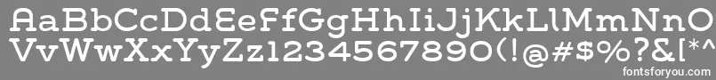 フォントGroverSlab – 灰色の背景に白い文字