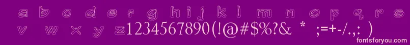 Gerbera Font – Pink Fonts on Purple Background