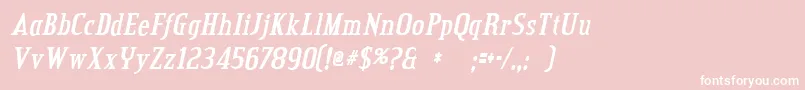 フォントCreditvalleybolditalic – ピンクの背景に白い文字