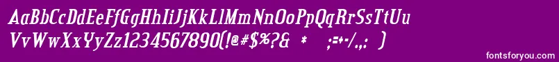 Creditvalleybolditalic Font – White Fonts on Purple Background