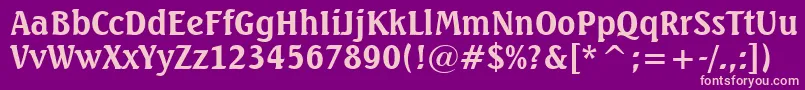 SeagullBoldBt Font – Pink Fonts on Purple Background