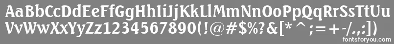 SeagullBoldBt Font – White Fonts on Gray Background