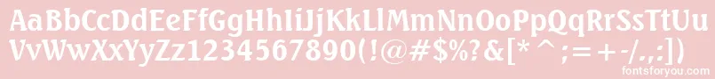 フォントSeagullBoldBt – ピンクの背景に白い文字