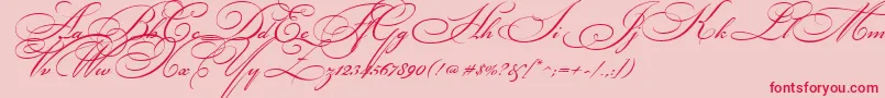 Bickhamscr2 Font – Red Fonts on Pink Background