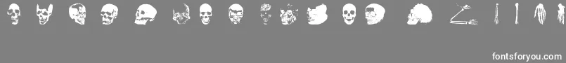 OldSkullHellron-Schriftart – Weiße Schriften auf grauem Hintergrund