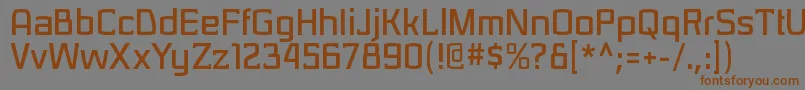 SarasorirgBold Font – Brown Fonts on Gray Background