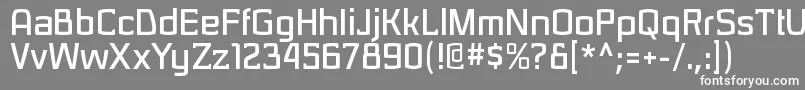 フォントSarasorirgBold – 灰色の背景に白い文字