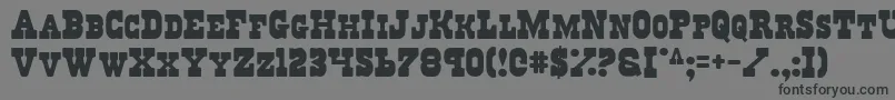 Regulators Font – Black Fonts on Gray Background