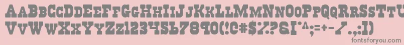 Regulators Font – Gray Fonts on Pink Background