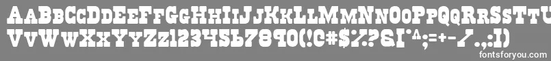 Regulators Font – White Fonts on Gray Background