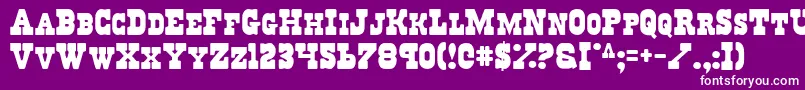 フォントRegulators – 紫の背景に白い文字