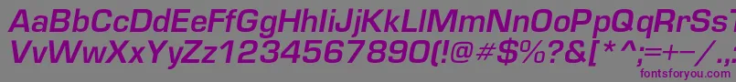Czcionka EuropedemicItalic – fioletowe czcionki na szarym tle