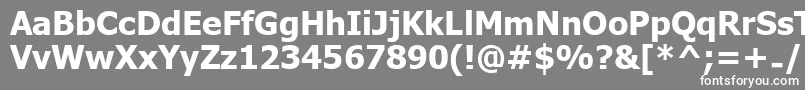 フォントUkijInchikeBold – 灰色の背景に白い文字