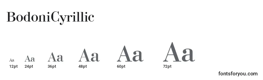 Размеры шрифта BodoniCyrillic
