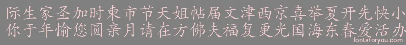 フォントHanziKaishu – 灰色の背景にピンクのフォント