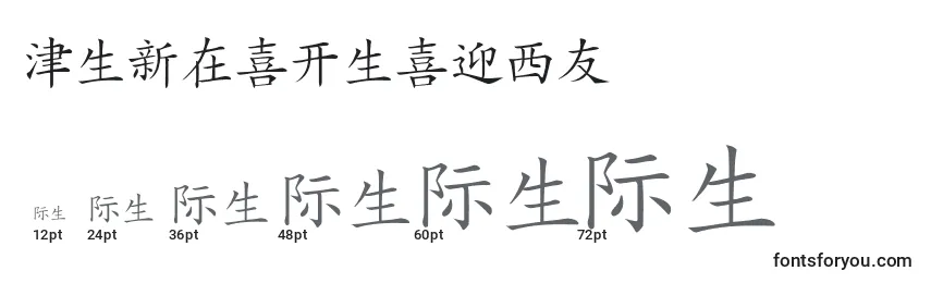 HanziKaishu Font Sizes