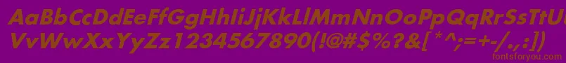 BelmaroblBold Font – Brown Fonts on Purple Background