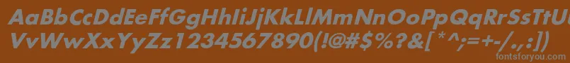 BelmaroblBold-Schriftart – Graue Schriften auf braunem Hintergrund