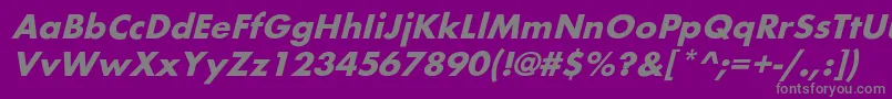 BelmaroblBold Font – Gray Fonts on Purple Background