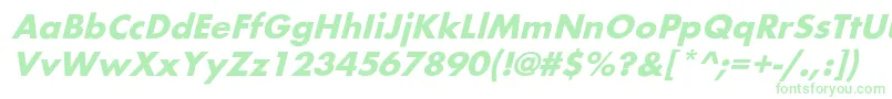 BelmaroblBold Font – Green Fonts on White Background
