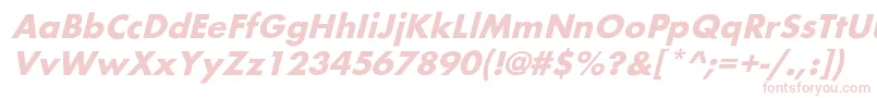 BelmaroblBold Font – Pink Fonts on White Background