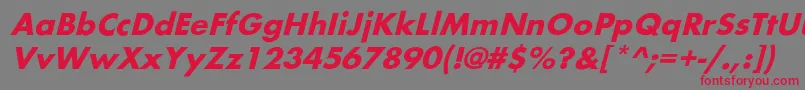 フォントBelmaroblBold – 赤い文字の灰色の背景