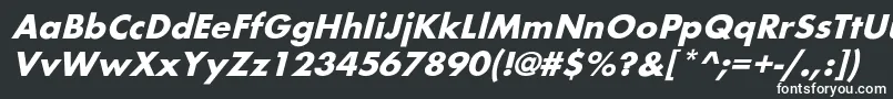 BelmaroblBold Font – White Fonts on Black Background