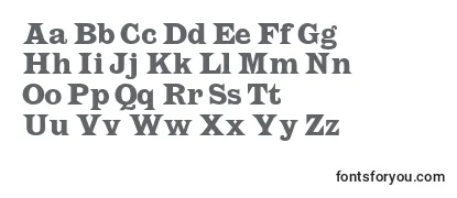 Обзор шрифта Latiara