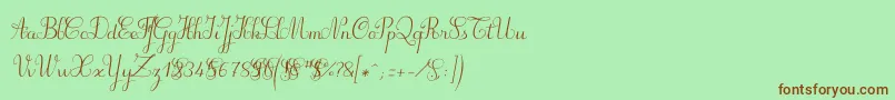 Suillylatourdemo Font – Brown Fonts on Green Background