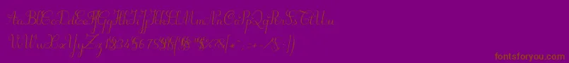Suillylatourdemo Font – Brown Fonts on Purple Background