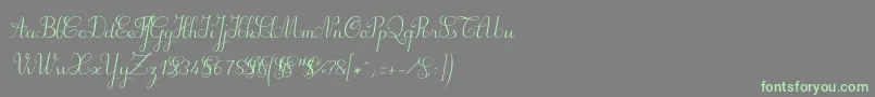 Lisätietoja Suillylatourdemo-fontista Suillylatourdemo-fontti – vihreät fontit harmaalla taustalla