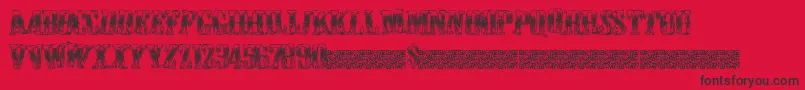 Cowboywould Font – Black Fonts on Red Background