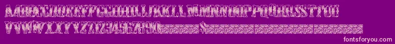 Cowboywould Font – Pink Fonts on Purple Background