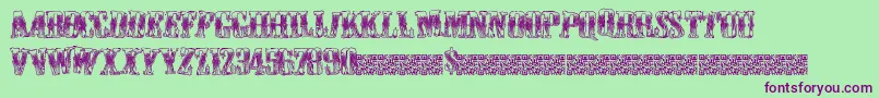 Cowboywould Font – Purple Fonts on Green Background