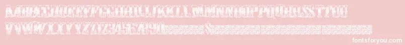 Cowboywould Font – White Fonts on Pink Background