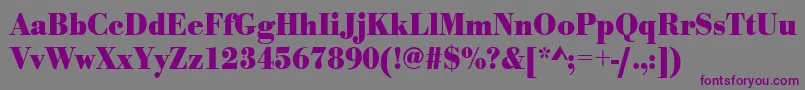 Шрифт UrwbodonitextnarBold – фиолетовые шрифты на сером фоне