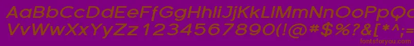 SfflorencesansexpBolditali Font – Brown Fonts on Purple Background