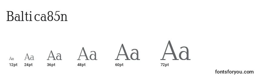 Baltica85n Font Sizes