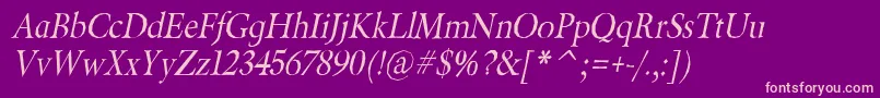 BeryliumItalic Font – Pink Fonts on Purple Background