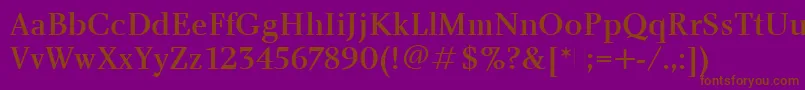 CharlotteMediumPlain Font – Brown Fonts on Purple Background