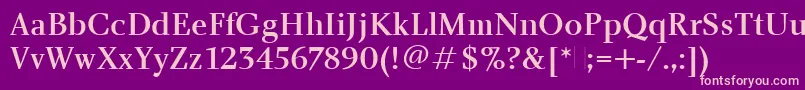 CharlotteMediumPlain Font – Pink Fonts on Purple Background