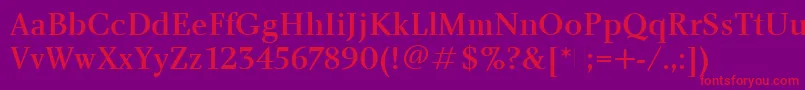 CharlotteMediumPlain Font – Red Fonts on Purple Background