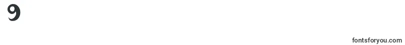 LatepubertyRegular2 Font – Fonts for Digit 9