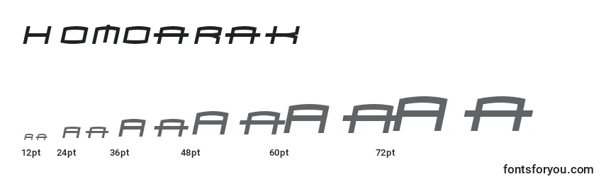 Размеры шрифта Homoarak