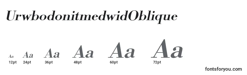 Размеры шрифта UrwbodonitmedwidOblique